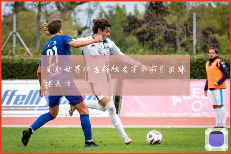 南非世界杯吉祥物名字公布引发球迷关注