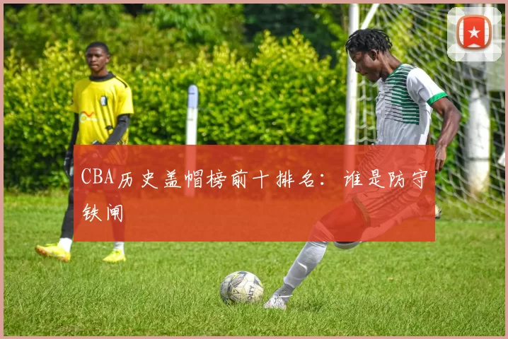 CBA历史盖帽榜前十排名：谁是防守铁闸