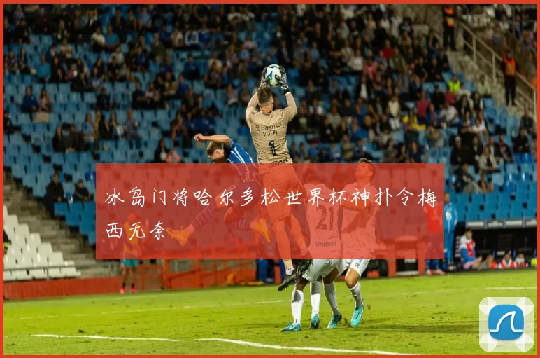 冰岛门将哈尔多松世界杯神扑令梅西无奈
