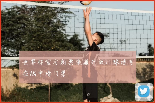 世界杯官方购票渠道开放,球迷可在线申请门票