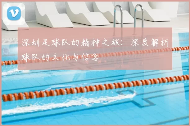 深圳足球队的精神之旅：深度解析球队的文化与信念