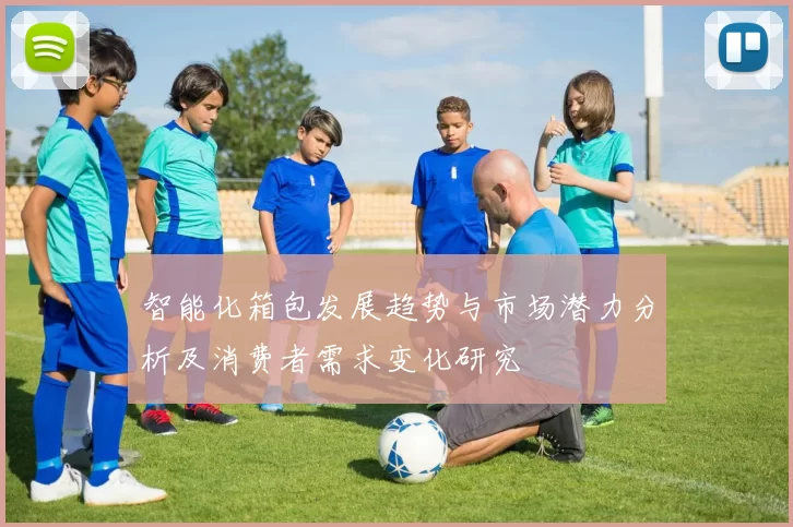 智能化箱包发展趋势与市场潜力分析及消费者需求变化研究