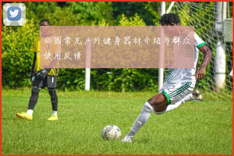 公园常见户外健身器材介绍与群众使用反馈