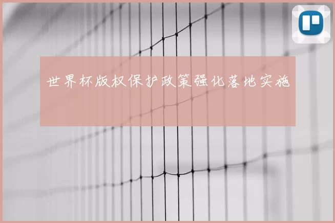 世界杯版权保护政策强化落地实施