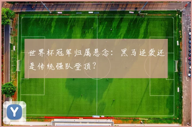 世界杯冠军归属悬念:黑马逆袭还是传统强队登顶?
