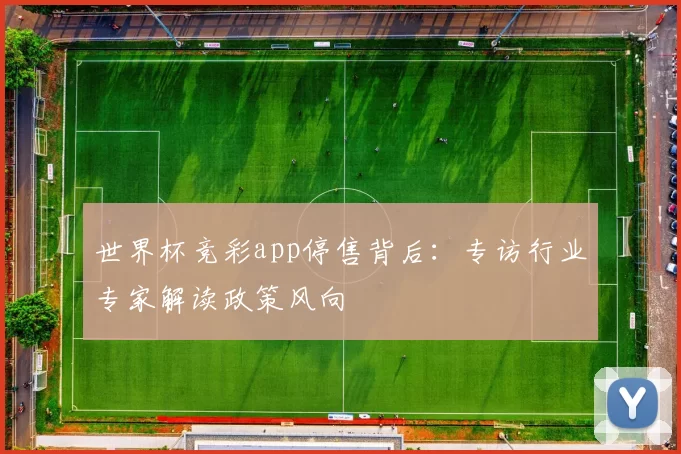 世界杯竞彩app停售背后:专访行业专家解读政策风向