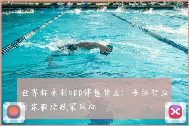 世界杯竞彩app停售背后:专访行业专家解读政策风向