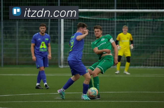 华体官网登录平台生态图